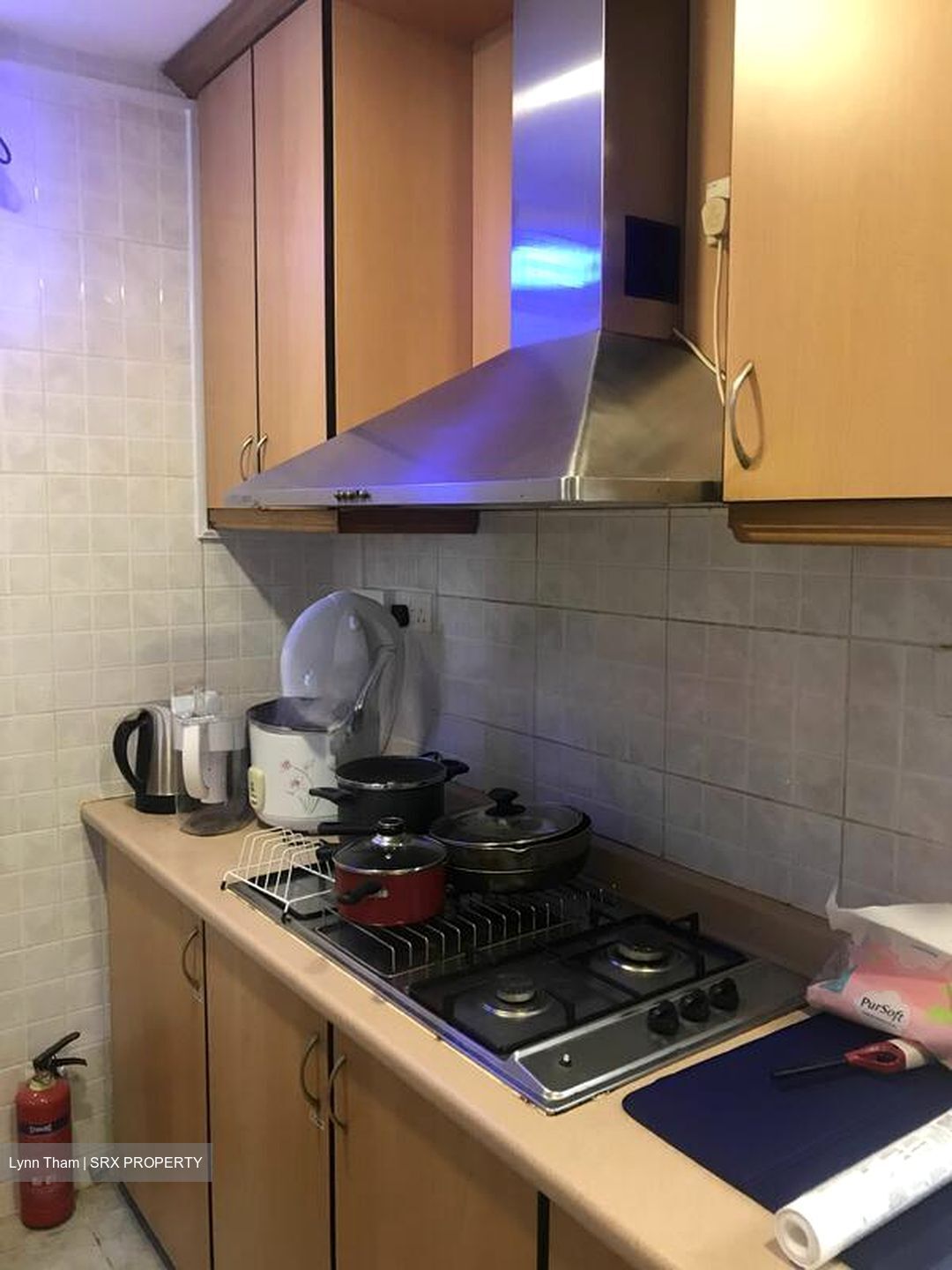 Langston Ville (D9), Apartment #513092051